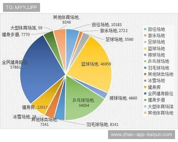 体育赛事数据可视化工具受到专业团队欢迎，体育赛事数据分析